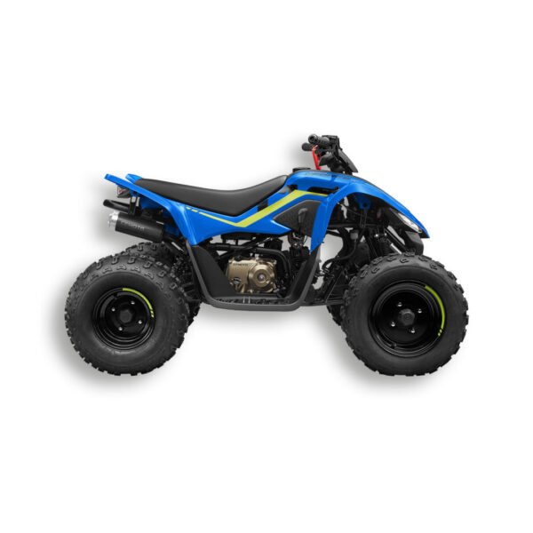 CFORCE 110 Estándar 2025
